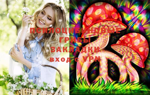 дживик Богданович