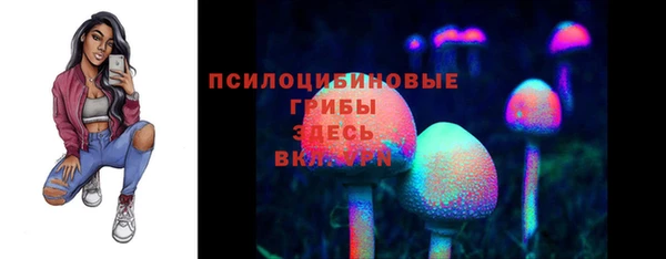 винт Богородицк