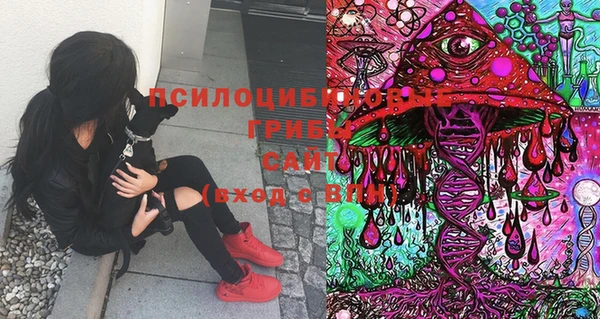 дживик Богданович