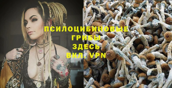 винт Богородицк