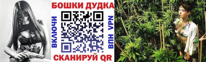Конопля White Widow  Купить где  Морозовск 
